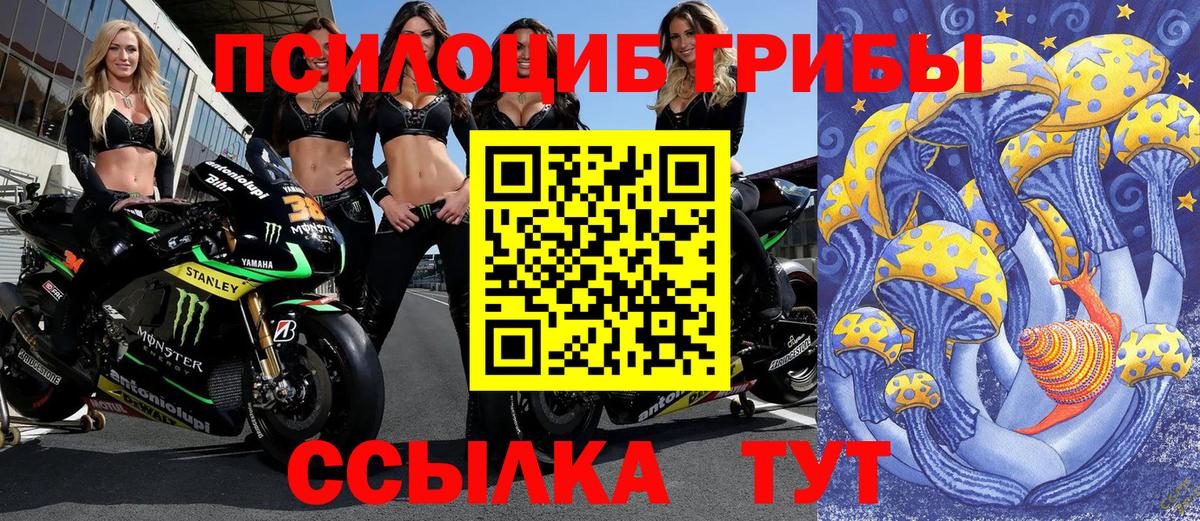 Галлюциногенные грибы Cubensis  закладки  Шарыпово  Вход с VPN 